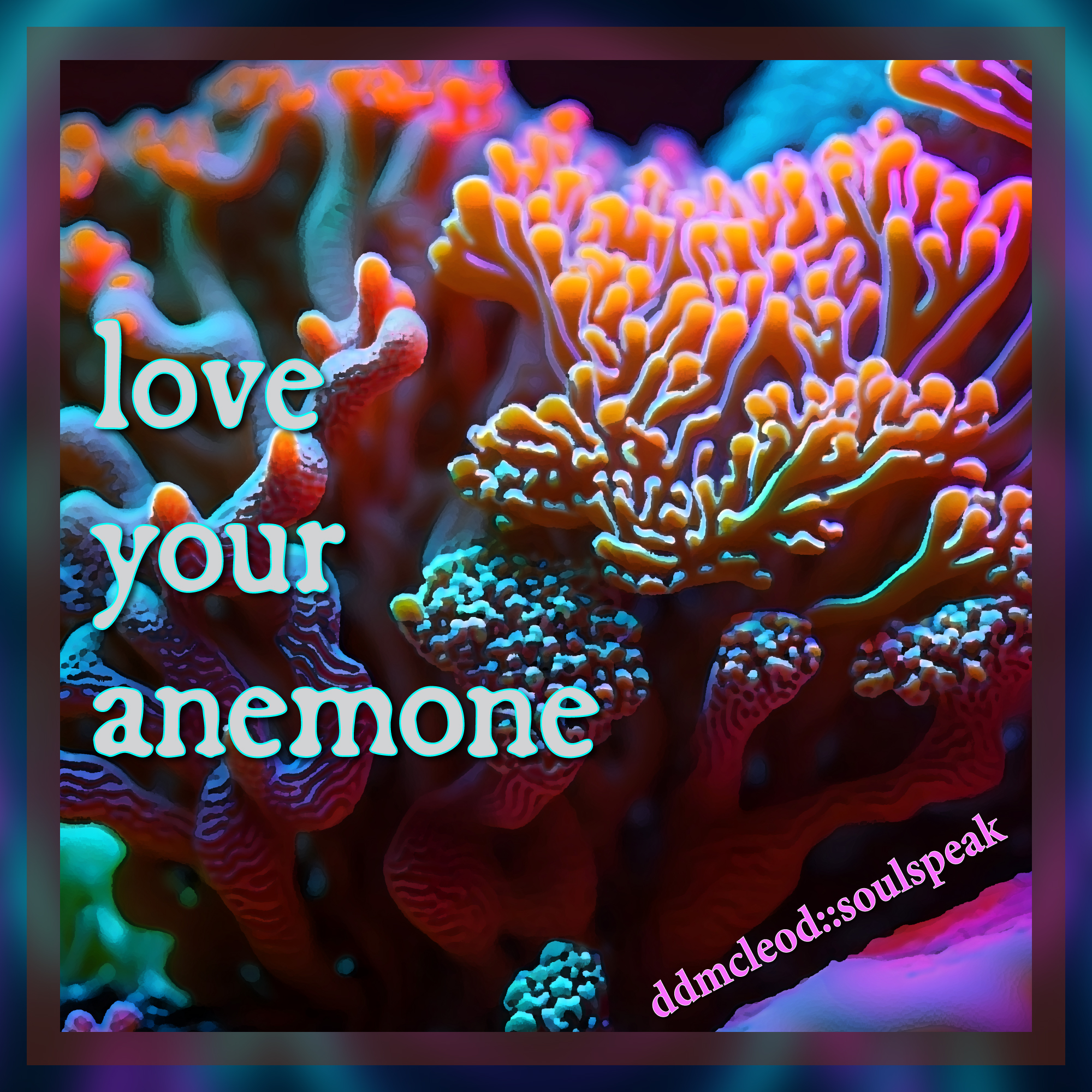 LoveYourAnemone